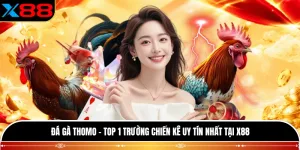 Đá Gà Thomo - Top 1 Trường Chiến Kê Uy Tín Nhất Tại X88